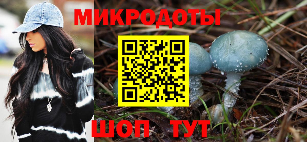 Галлюциногенные грибы мухоморы  Галлюциногенные грибы ЛСД  Вход с VPN  Тамбов 