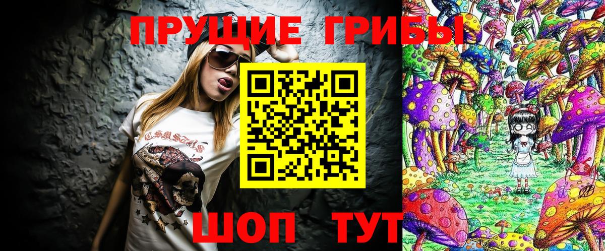 Галлюциногенные грибы Psilocybe Тамбов
